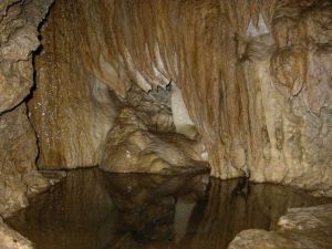 horne lake caves
